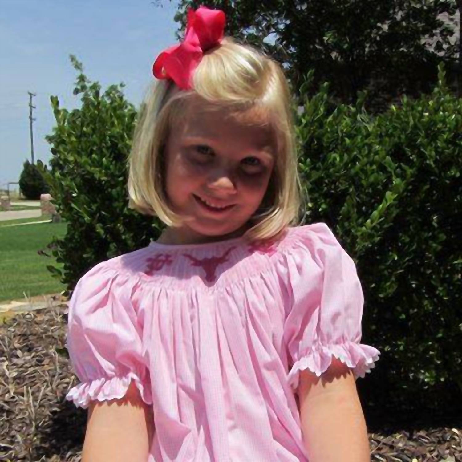 Детское платье Bishop в клетку University Of Texas розового цвета Vive La Fete
Детское платье Bishop в клетку University Of Texas розового цвета Vive La Fete