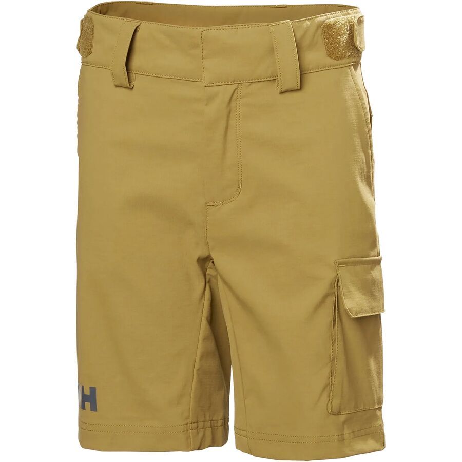 Шорты Helly Hansen HH QD Cargo Short Helly Hansen, Lynx
Шорты Helly Hansen HH QD Cargo Short Helly Hansen, Lynx
