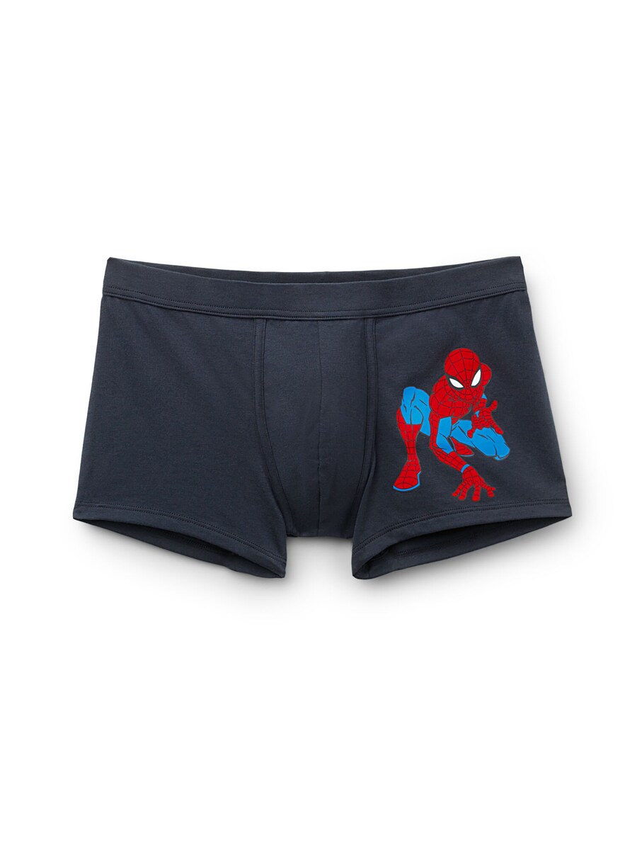 Боксеры INTIMISSIMI, Blue/Night blue
Боксеры INTIMISSIMI, Blue/Night blue