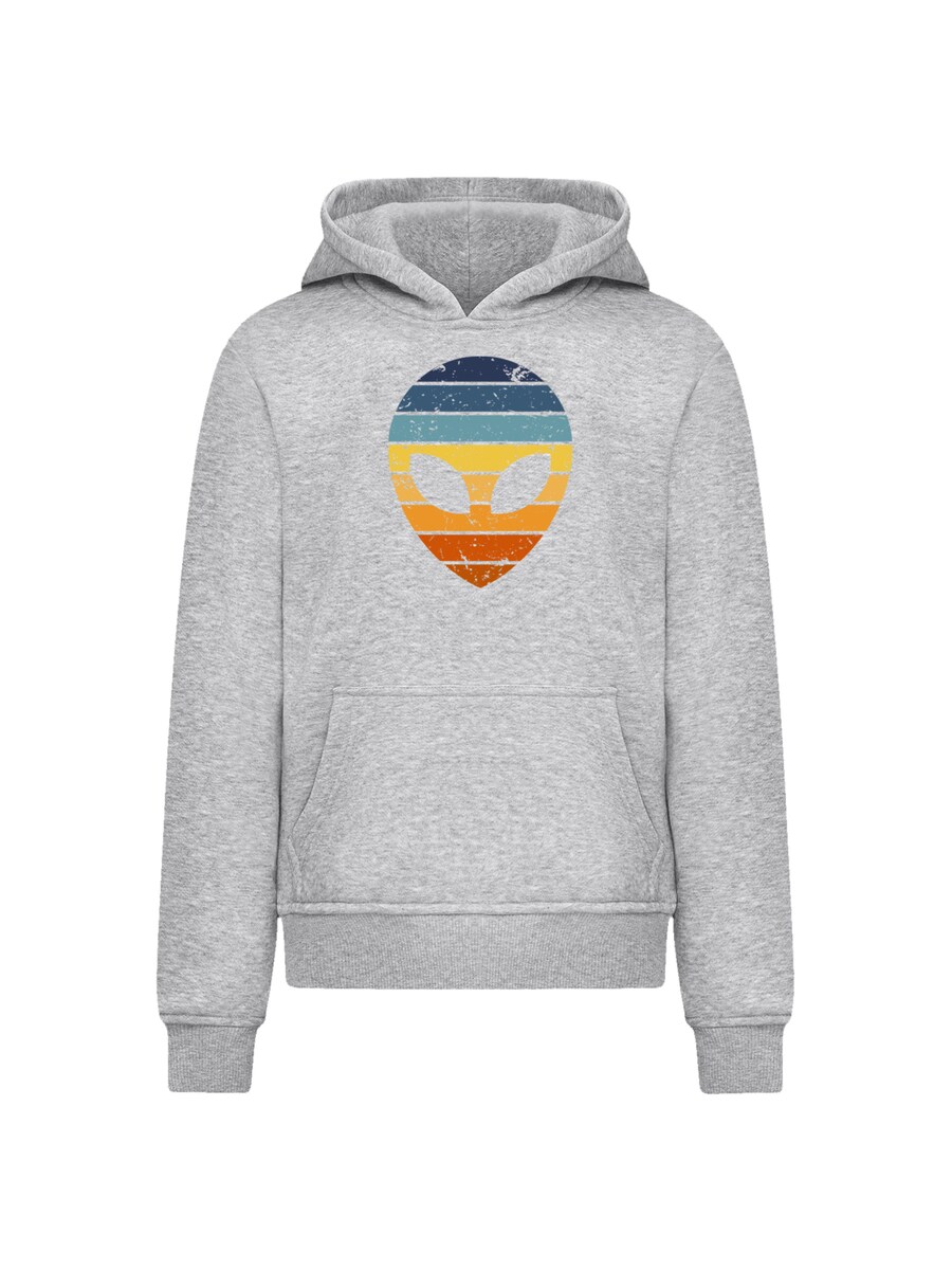 Толстовка F4NT4STIC Alien Sonnenuntergang Retro, серый
Толстовка F4NT4STIC Alien Sonnenuntergang Retro, серый