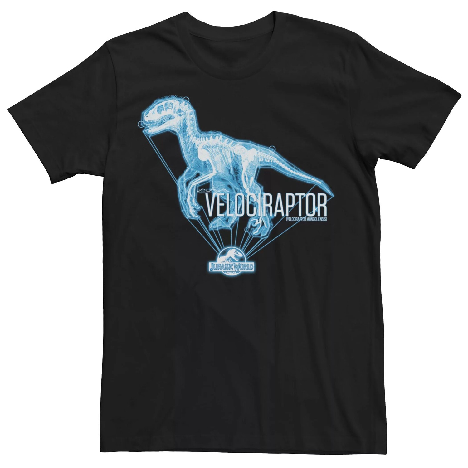 Мужская футболка с логотипом Jurassic World Velociraptor X-Ray Portrait Licensed Character
Мужская футболка с логотипом Jurassic World Velociraptor X-Ray Portrait Licensed Character