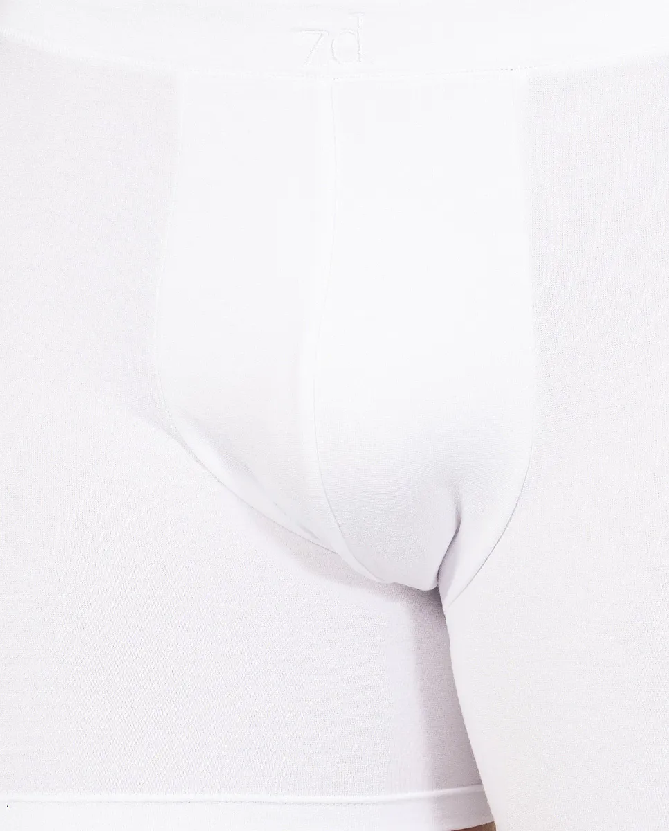 Мужские боксеры микромодальной вязки из однотонной ткани ZD, белый
Мужские боксеры микромодальной вязки из однотонной ткани ZD, белый