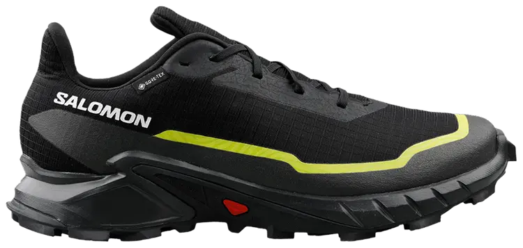Кроссовки Salomon Alphacross 5 GORE-TEX, черный
Кроссовки Salomon Alphacross 5 GORE-TEX, черный