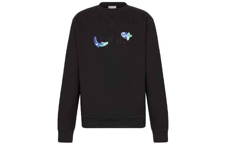 Ежеквартальные новинки Толстовка мужская черная Dior, черный 
Ежеквартальные новинки Толстовка мужская черная Dior, черный