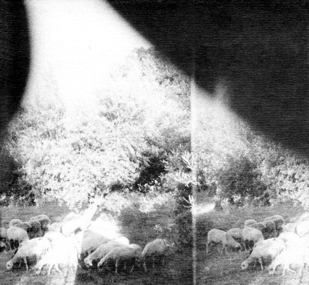 Диск CD Asunder, Sweet And Other Distress - Godspeed You! Black Emperor
Диск CD Asunder, Sweet And Other Distress - Godspeed You! Black Emperor