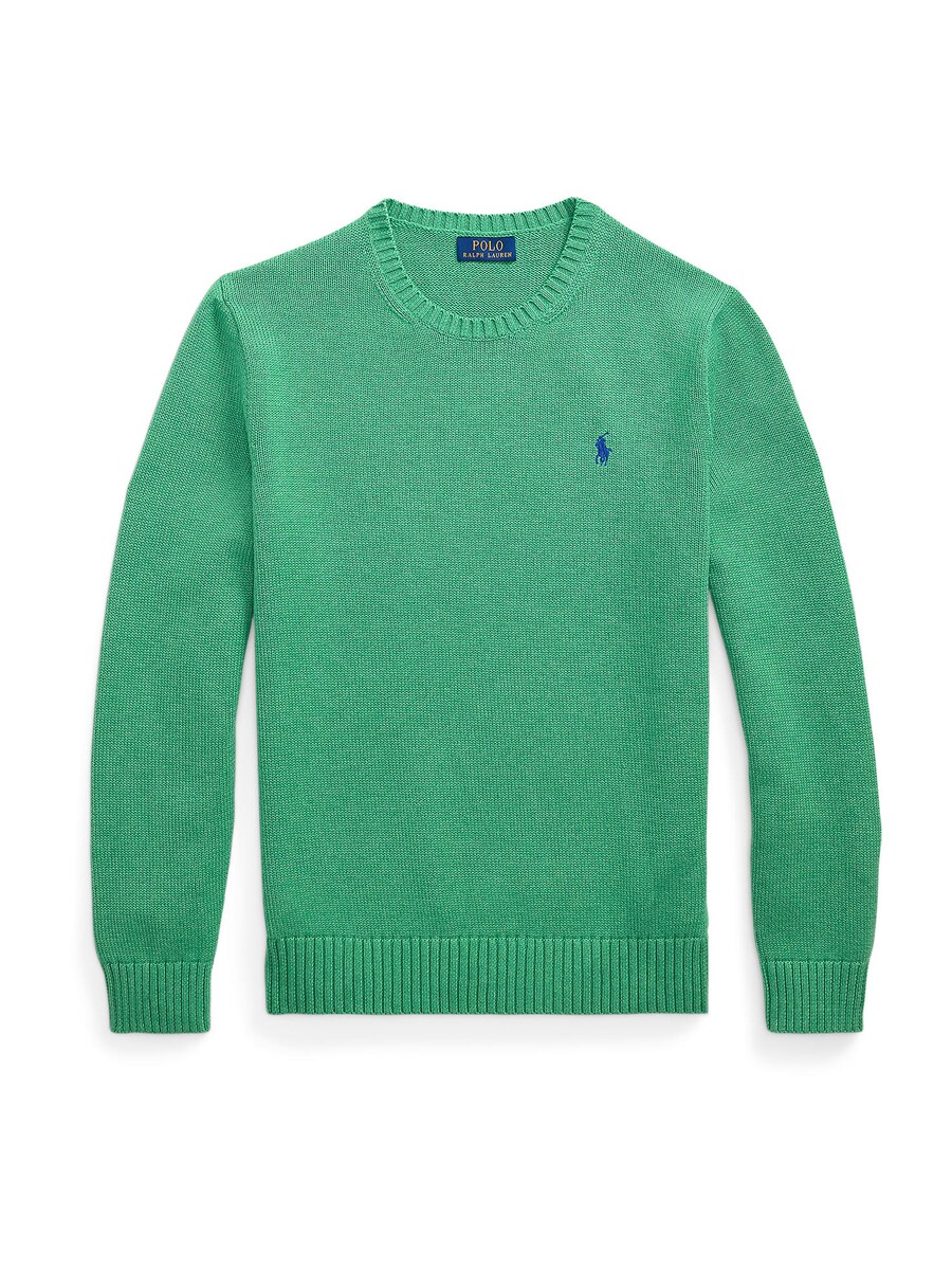 Свитер обычного кроя Polo Ralph Lauren, зеленый
Свитер обычного кроя Polo Ralph Lauren, зеленый