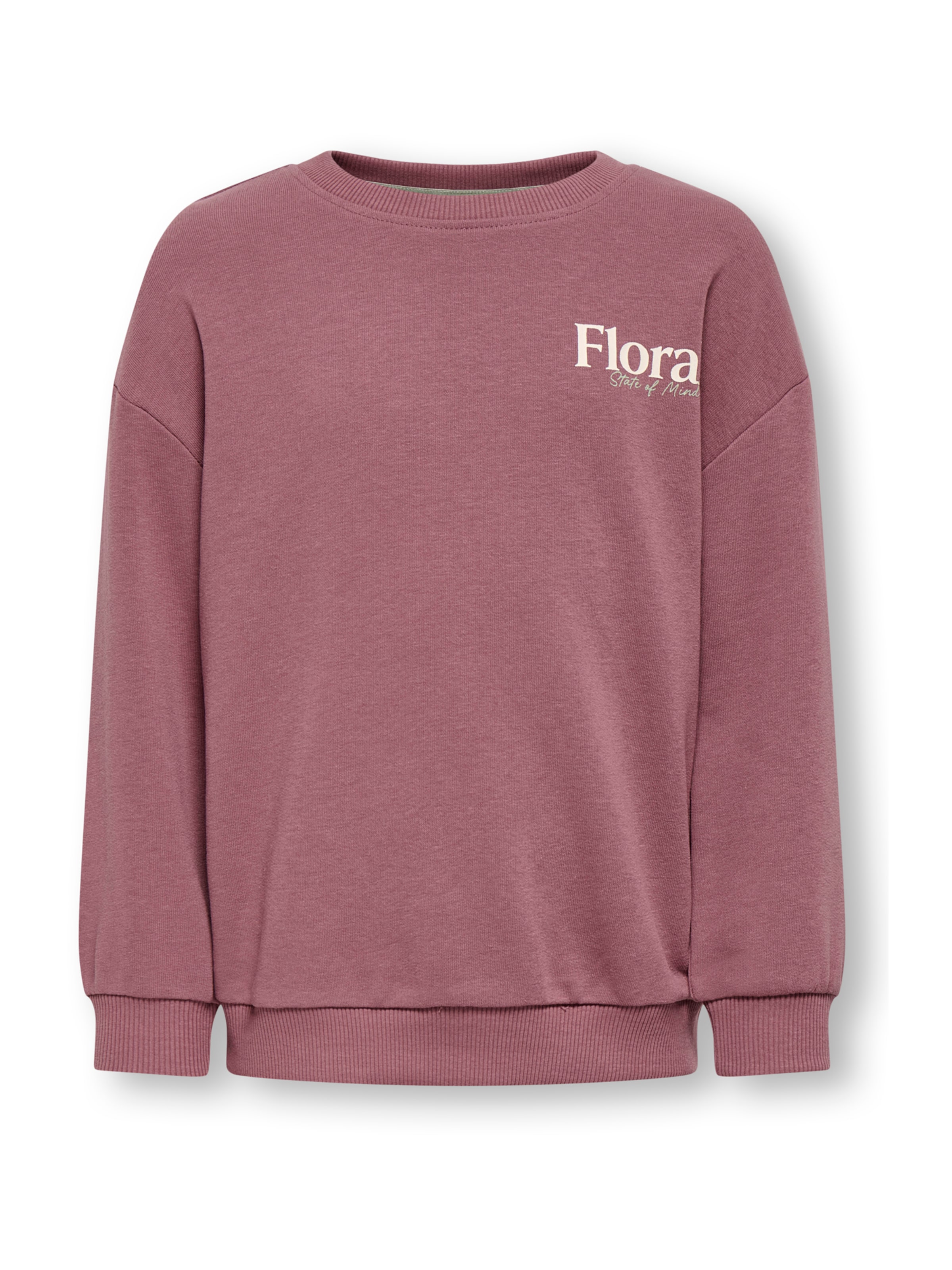 Only Mini Свитшот 'KMGGEORGIA' в пыльно-розовом цвете
Only Mini Свитшот 'KMGGEORGIA' в пыльно-розовом цвете