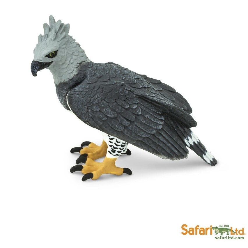 Safari Ltd 150929 Орел-гарпия 7,75х5,25см
Safari Ltd 150929 Орел-гарпия 7,75х5,25см