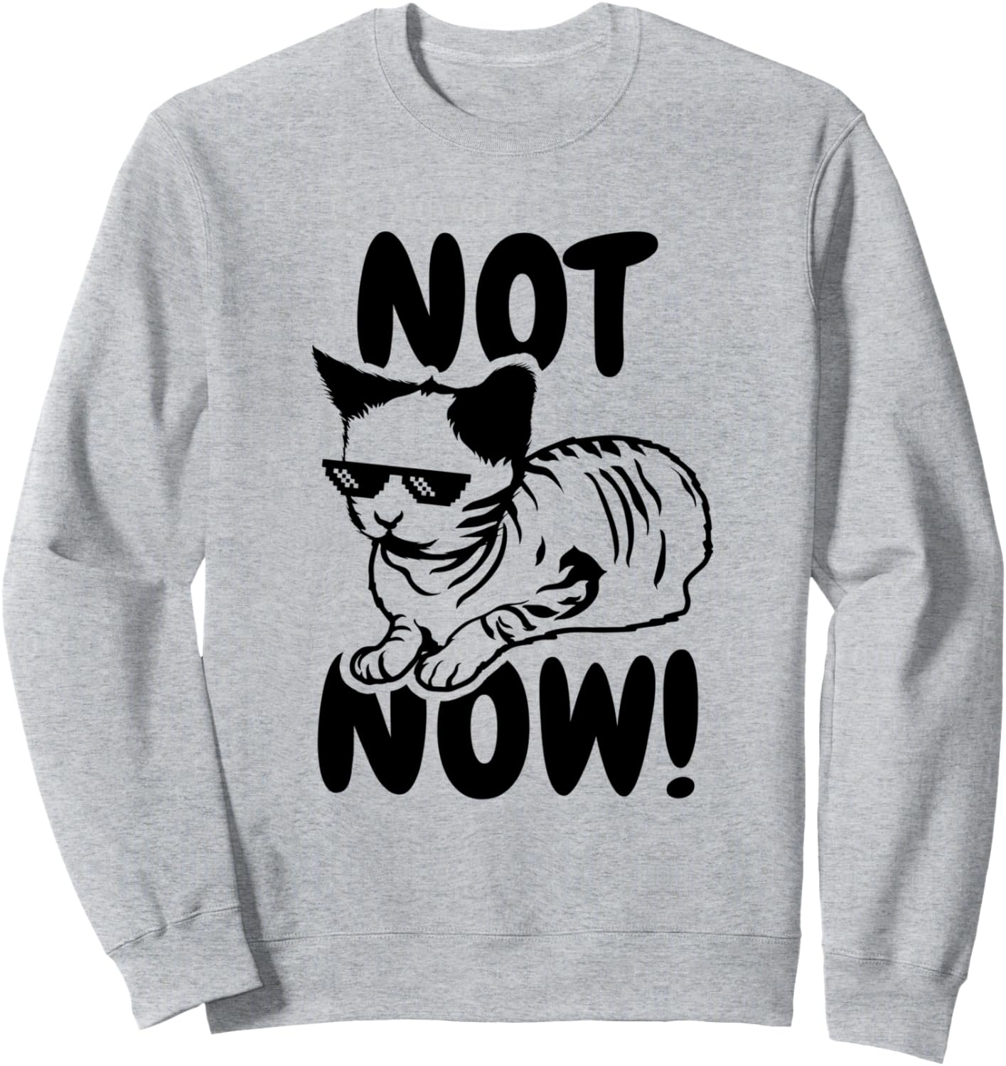 Забавная толстовка с котом Not Now Pets Funny Cat Owner T-Shirts And Gifts, серый
Забавная толстовка с котом Not Now Pets Funny Cat Owner T-Shirts And Gifts, серый