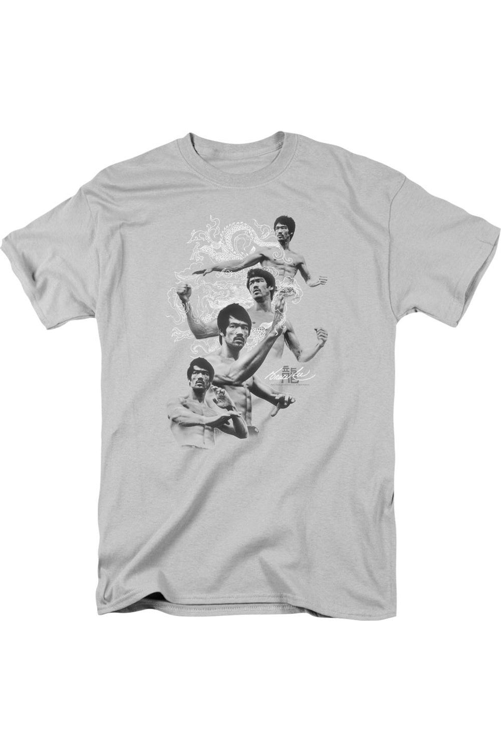 Футболка с коротким рукавом для взрослых Bruce Lee In Motion Gildan, серебряный
Футболка с коротким рукавом для взрослых Bruce Lee In Motion Gildan, серебряный