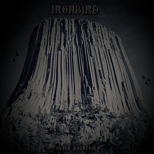 CD диск Ironbird: Black Mountain
CD диск Ironbird: Black Mountain