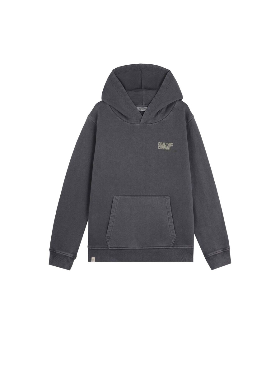 Толстовка Scalpers Typeskull, графитовый/серовато-бежевый
Толстовка Scalpers Typeskull, графитовый/серовато-бежевый
