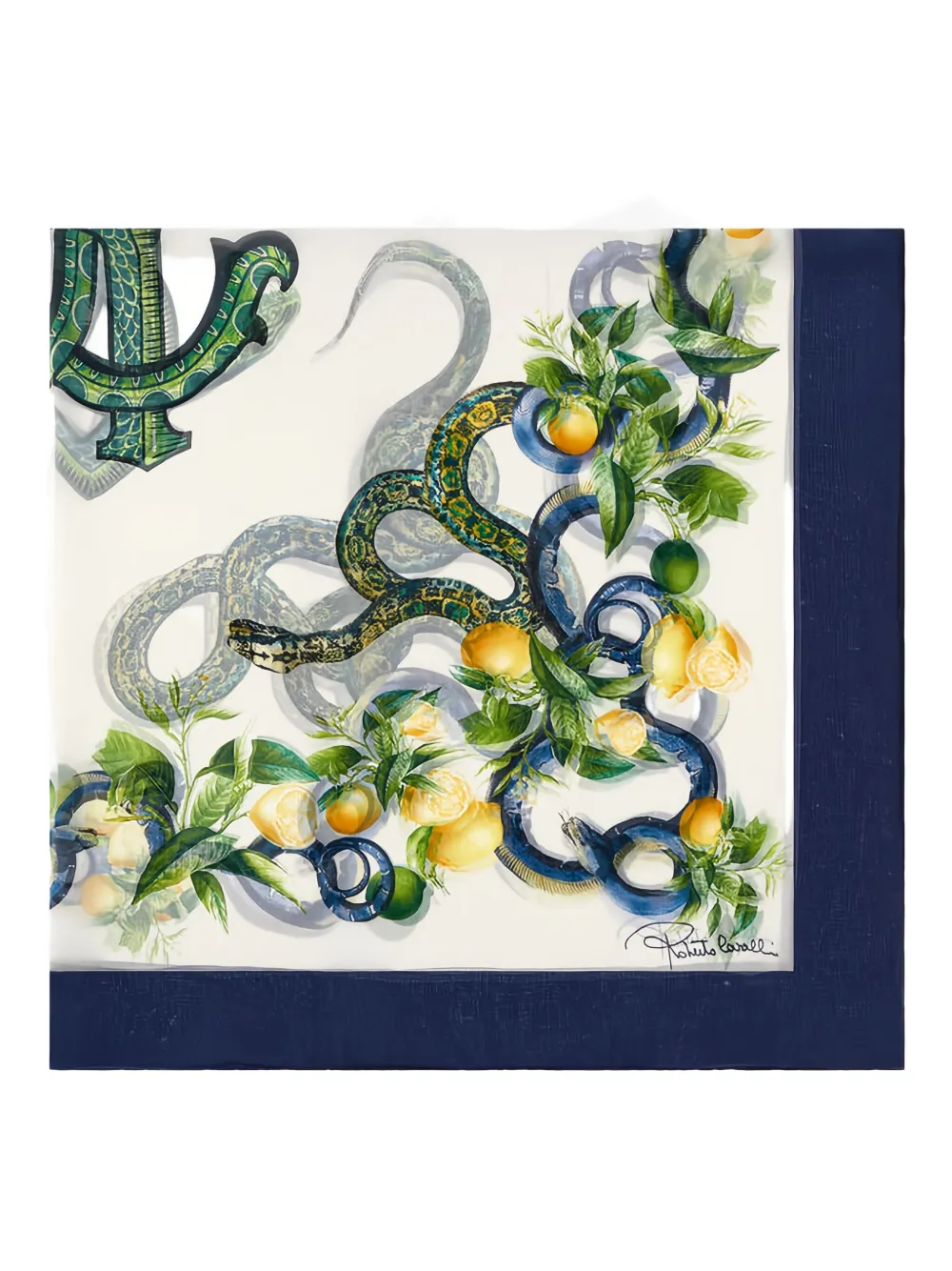 Шарф с принтом лимона и логотипом змеи Roberto Cavalli, белый
Шарф с принтом лимона и логотипом змеи Roberto Cavalli, белый