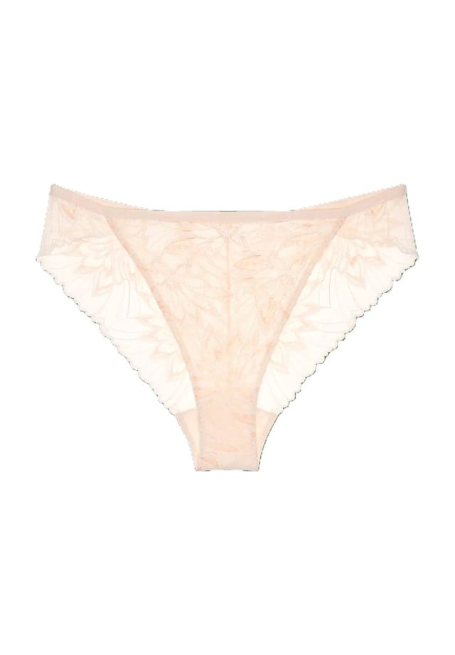 Амуретта шарм бразильские трусики высокие кружева Triumph, цвет fresh powder
Амуретта шарм бразильские трусики высокие кружева Triumph, цвет fresh powder