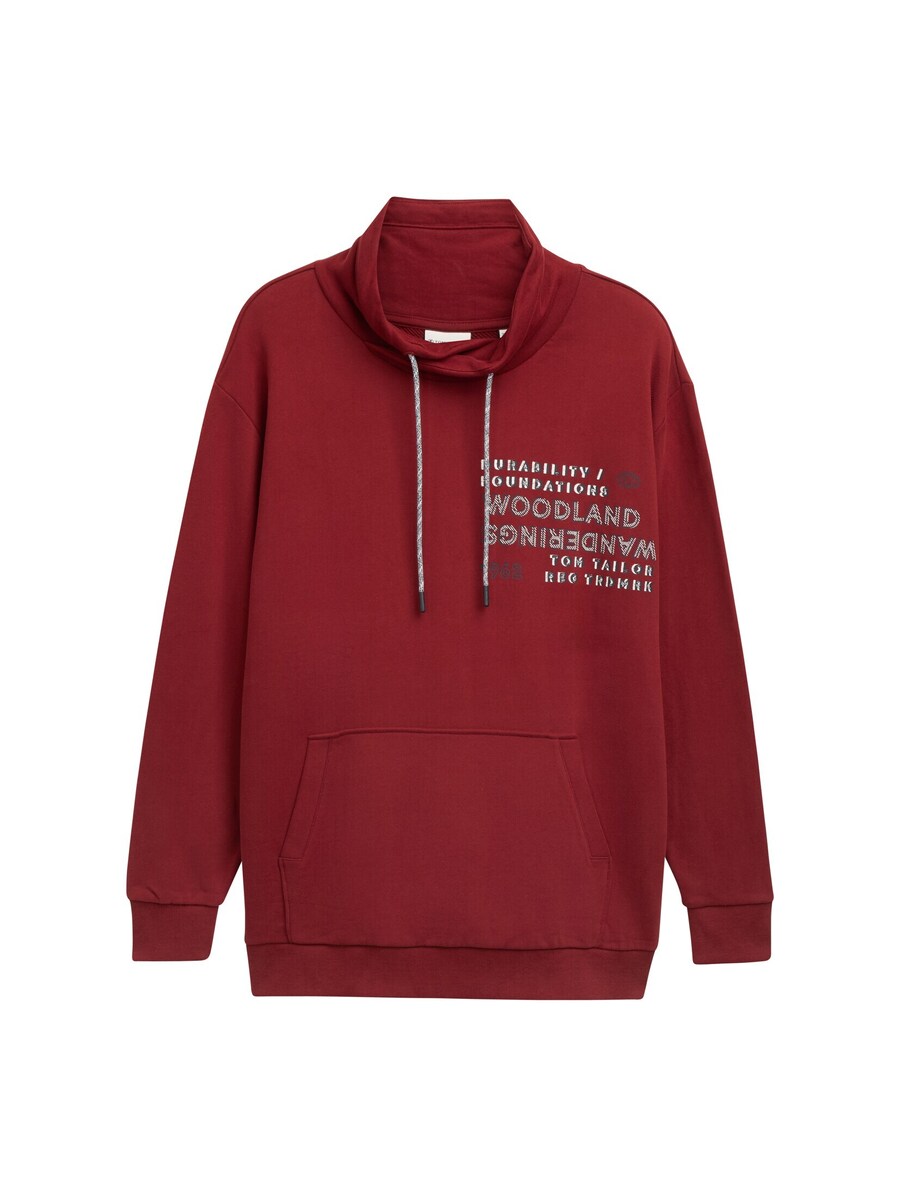 Толстовка TOM TAILOR Men +, цвет Dark red
Толстовка TOM TAILOR Men +, цвет Dark red