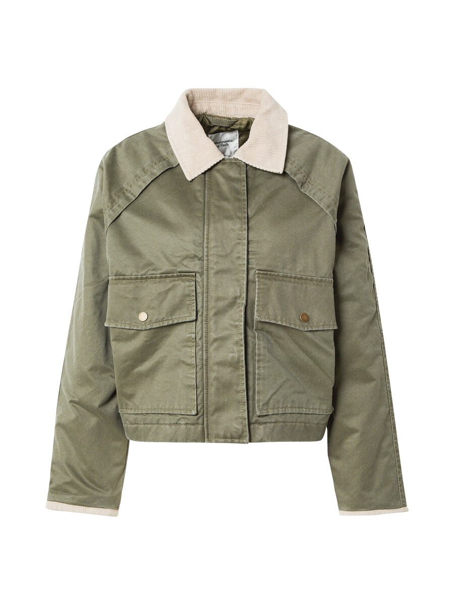 Межсезонная куртка Abercrombie & Fitch, зеленый
Межсезонная куртка Abercrombie & Fitch, зеленый