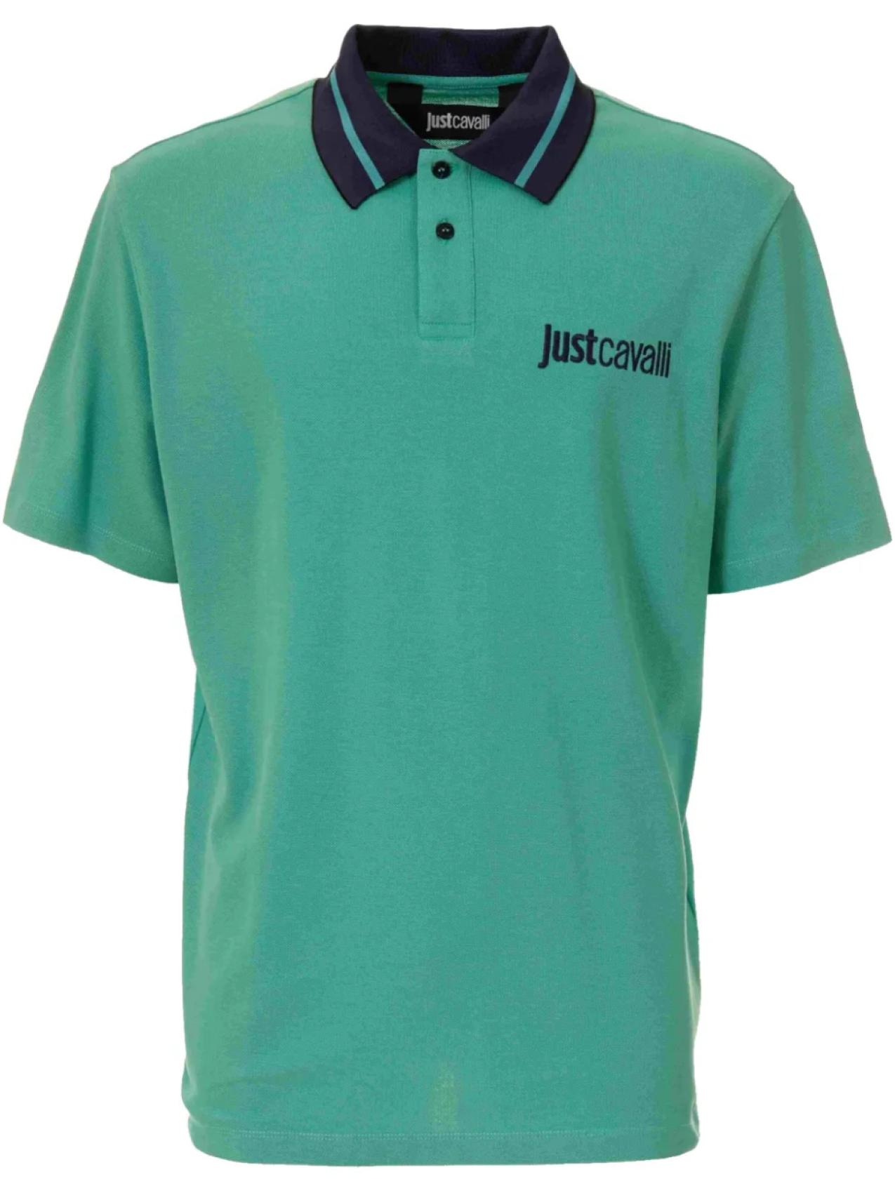 Just Cavalli рубашка поло с вышитым логотипом, зеленый
Just Cavalli рубашка поло с вышитым логотипом, зеленый