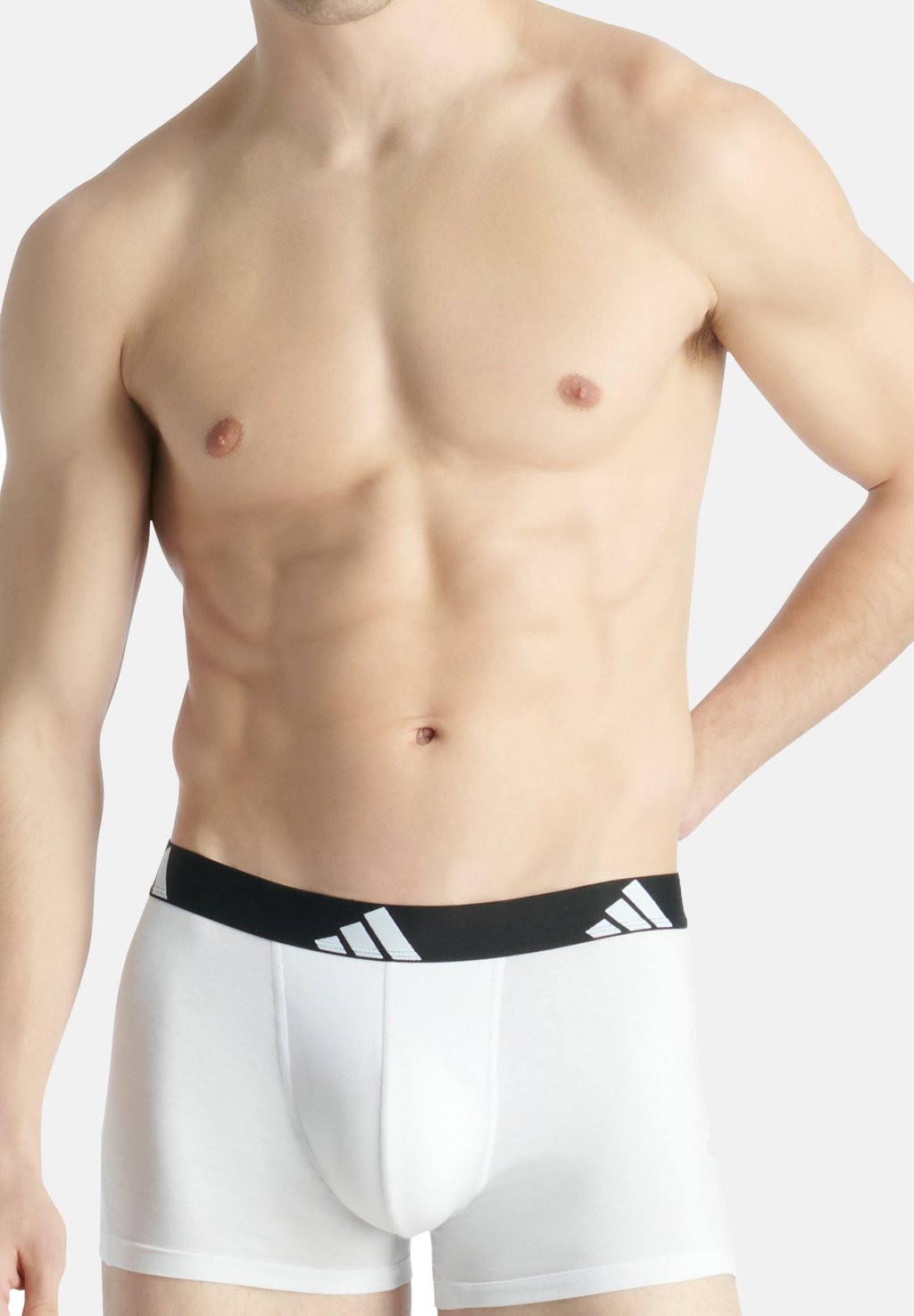 Брюки 6 PACK Adidas Originals, серый
Брюки 6 PACK Adidas Originals, серый