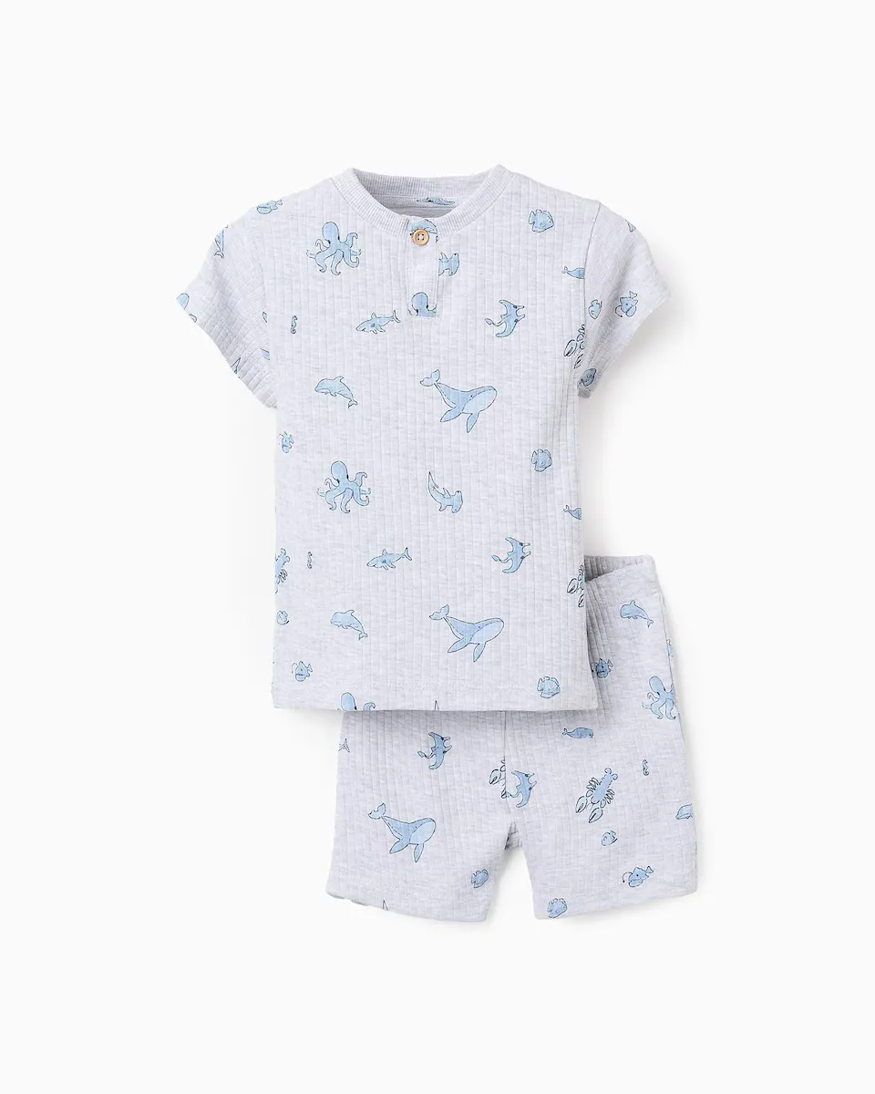 Пижама для мальчика с короткими рукавами и принтом по всей поверхности Zippy, светло-серый
Пижама для мальчика с короткими рукавами и принтом по всей поверхности Zippy, светло-серый