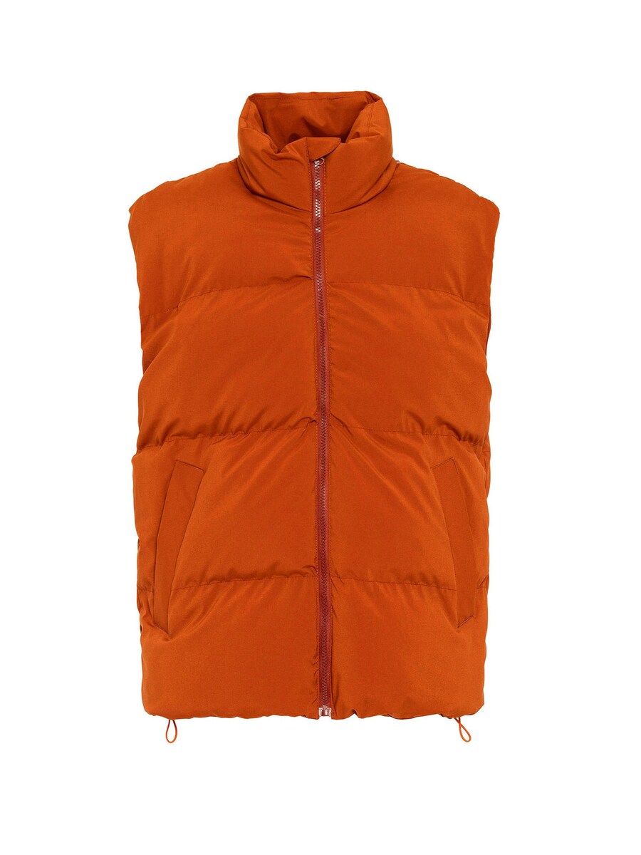 Жилет Antioch, цвет Orange red
Жилет Antioch, цвет Orange red