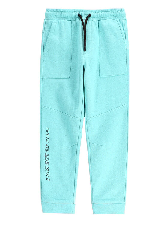 Спортивные брюки обычного кроя WC5120103CBK Coccodrillo, голубой
Спортивные брюки обычного кроя WC5120103CBK Coccodrillo, голубой