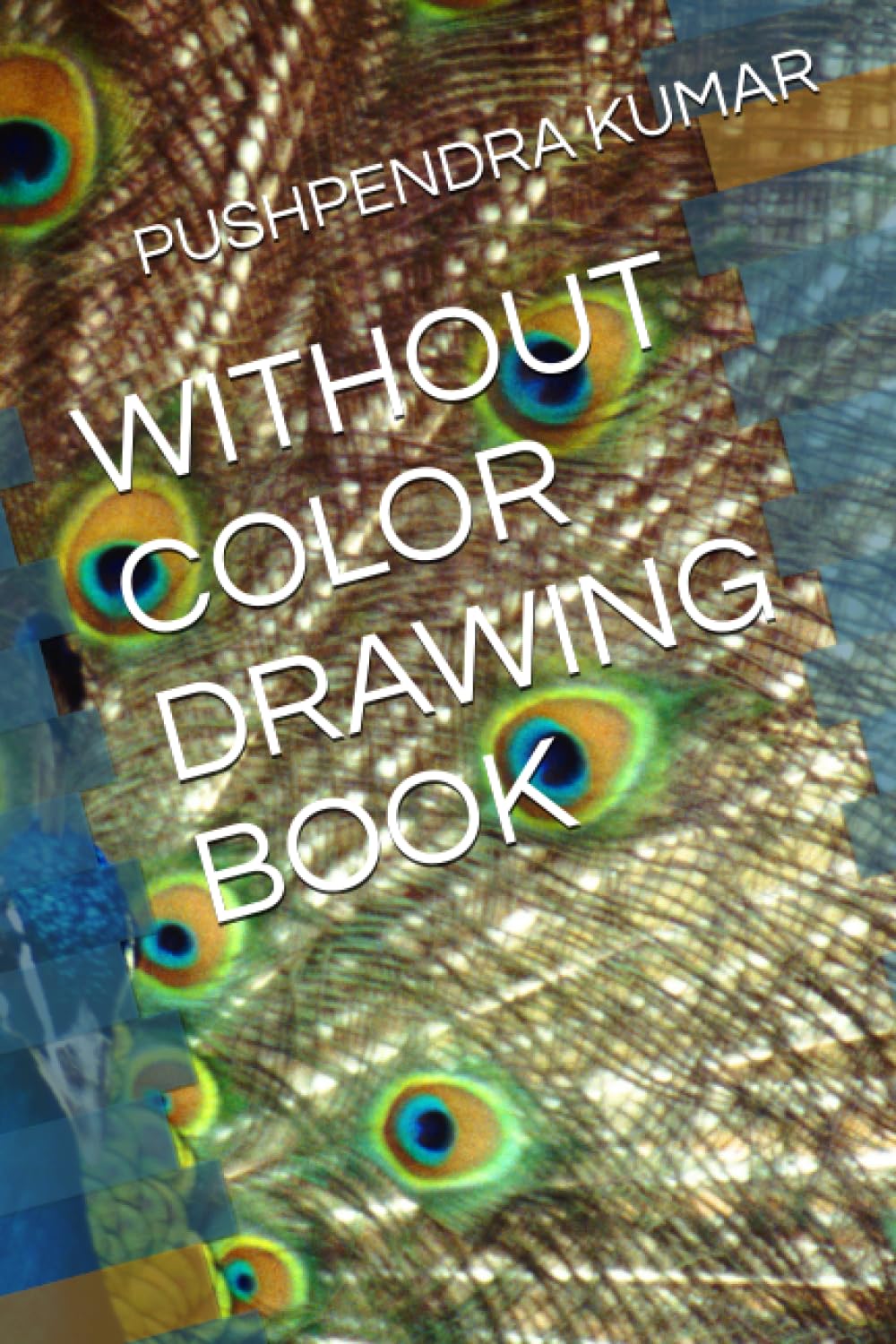 WITHOUT COLOR DRAWING BOOK (Independently published)
WITHOUT COLOR DRAWING BOOK (Independently published)