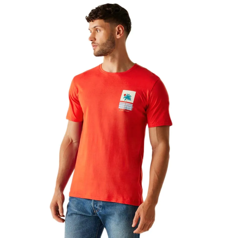 Футболка с коротким рукавом Regatta Cline IX, оранжевый
Футболка с коротким рукавом Regatta Cline IX, оранжевый