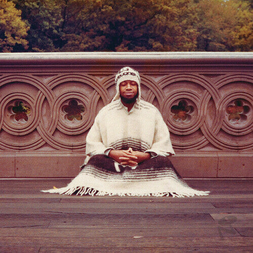 Виниловая пластинка Laraaji: Segue To Infinity
Виниловая пластинка Laraaji: Segue To Infinity