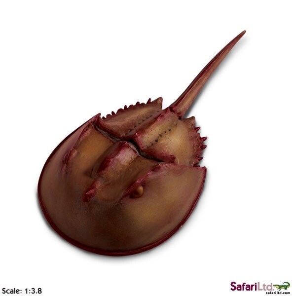 XL Safari Ltd 261429 Скшиплоц масштаб 1:3,8 18x9см
XL Safari Ltd 261429 Скшиплоц масштаб 1:3,8 18x9см