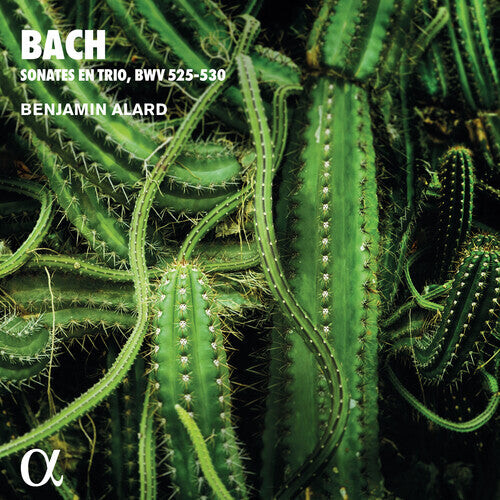 CD диск Bach, J.S. / Alard: Trio Sonatas for Organ 
CD диск Bach, J.S. / Alard: Trio Sonatas for Organ