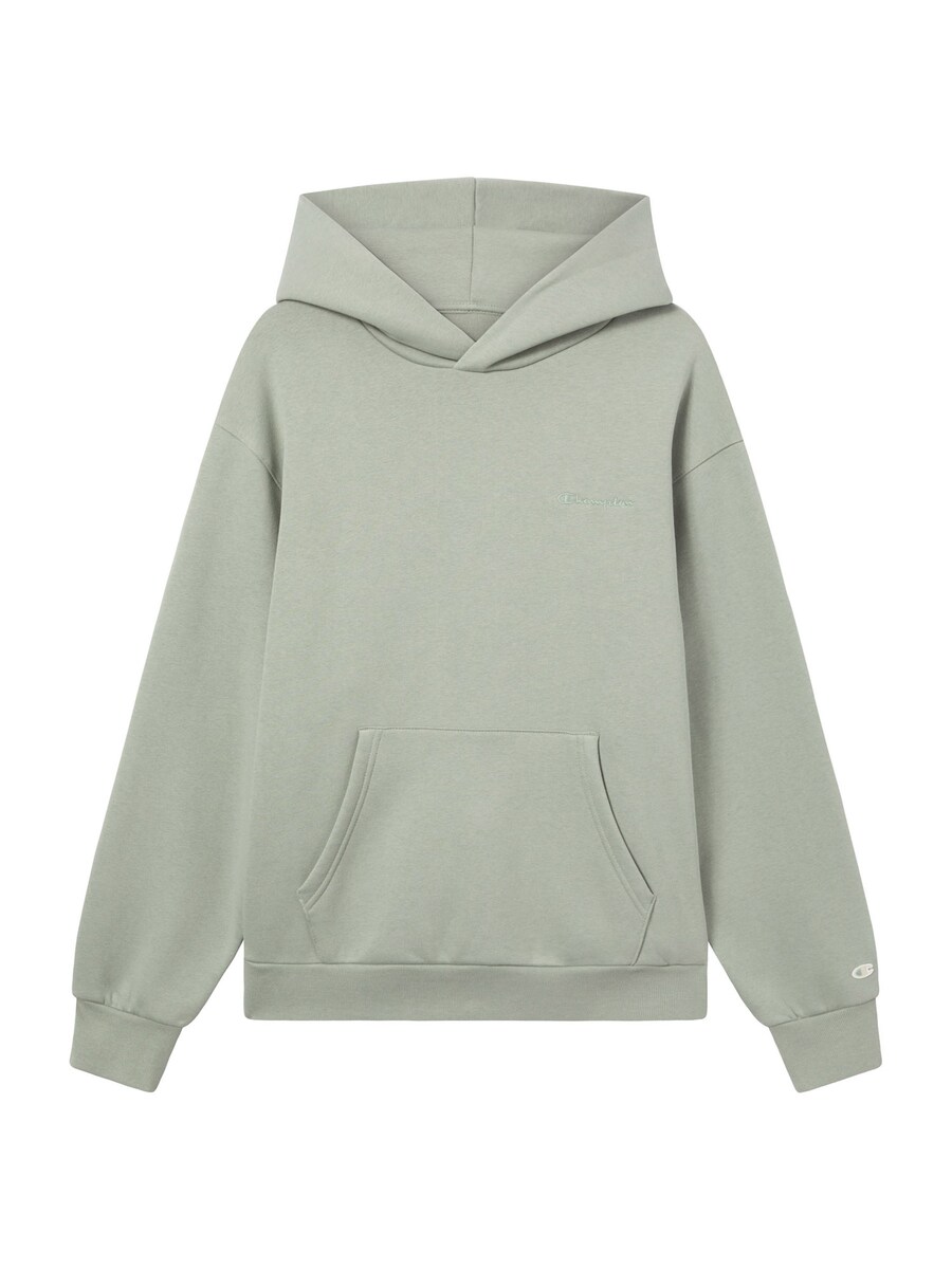 Свитер Champion Authentic Athletic Apparel, пастельно-зеленый
Свитер Champion Authentic Athletic Apparel, пастельно-зеленый