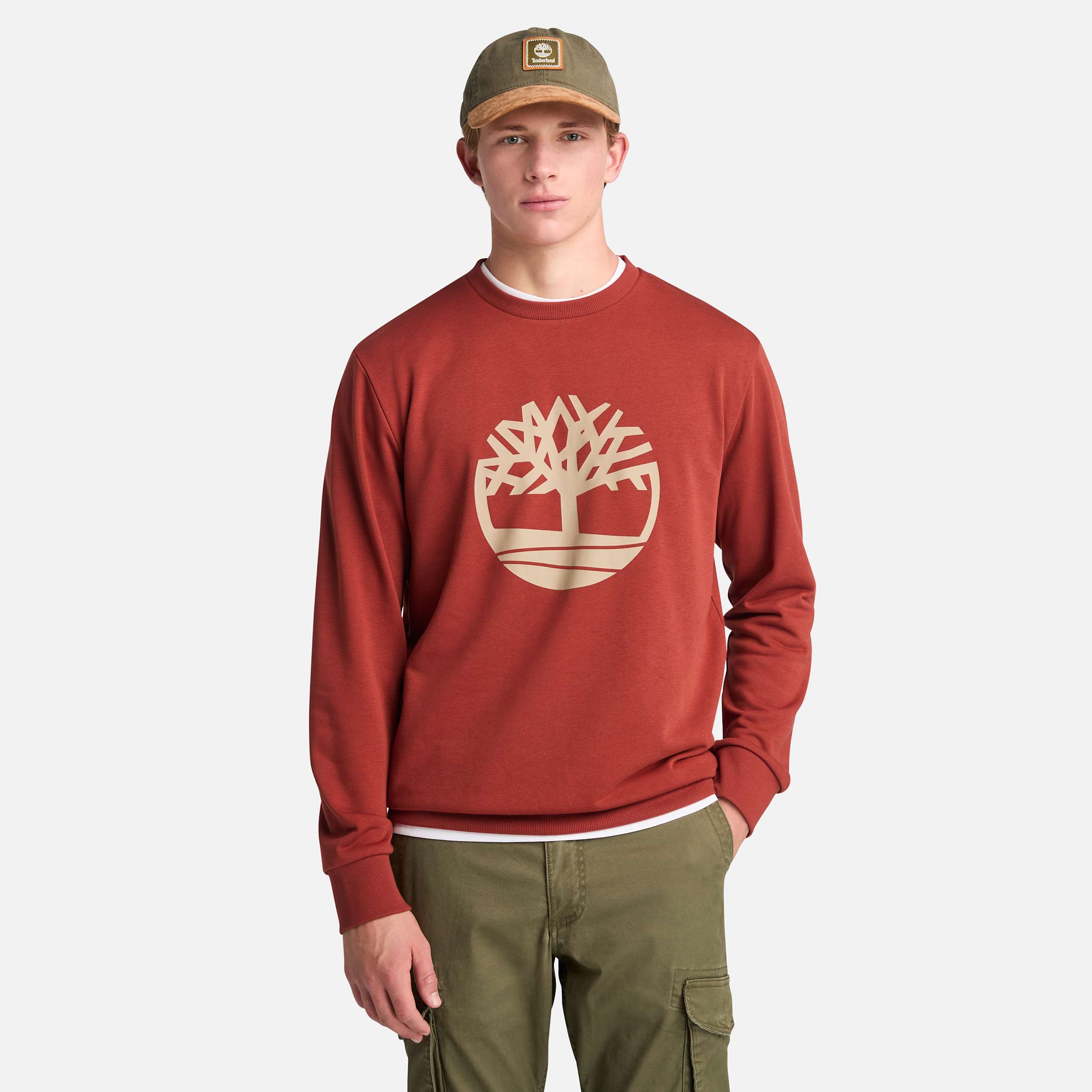 Мужская толстовка с круглым вырезом и логотипом Northwood Tree Loopback Timberland, цвет burnt henna
Мужская толстовка с круглым вырезом и логотипом Northwood Tree Loopback Timberland, цвет burnt henna