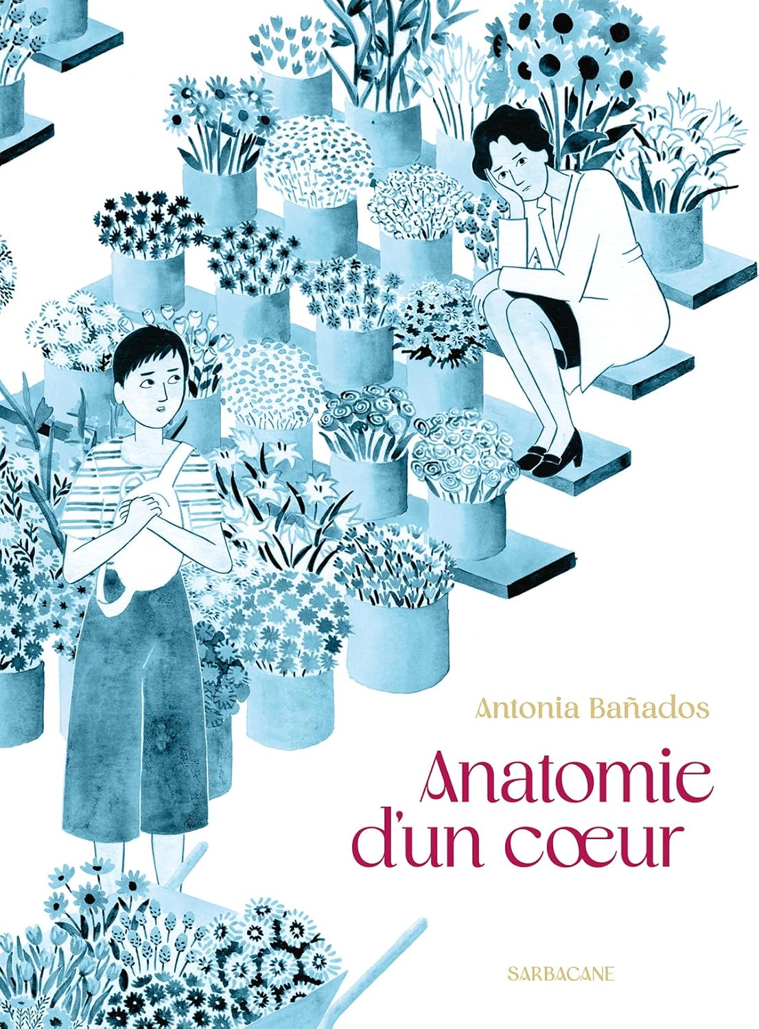 Anatomie d'un coeur (SARBACANE)
Anatomie d'un coeur (SARBACANE)