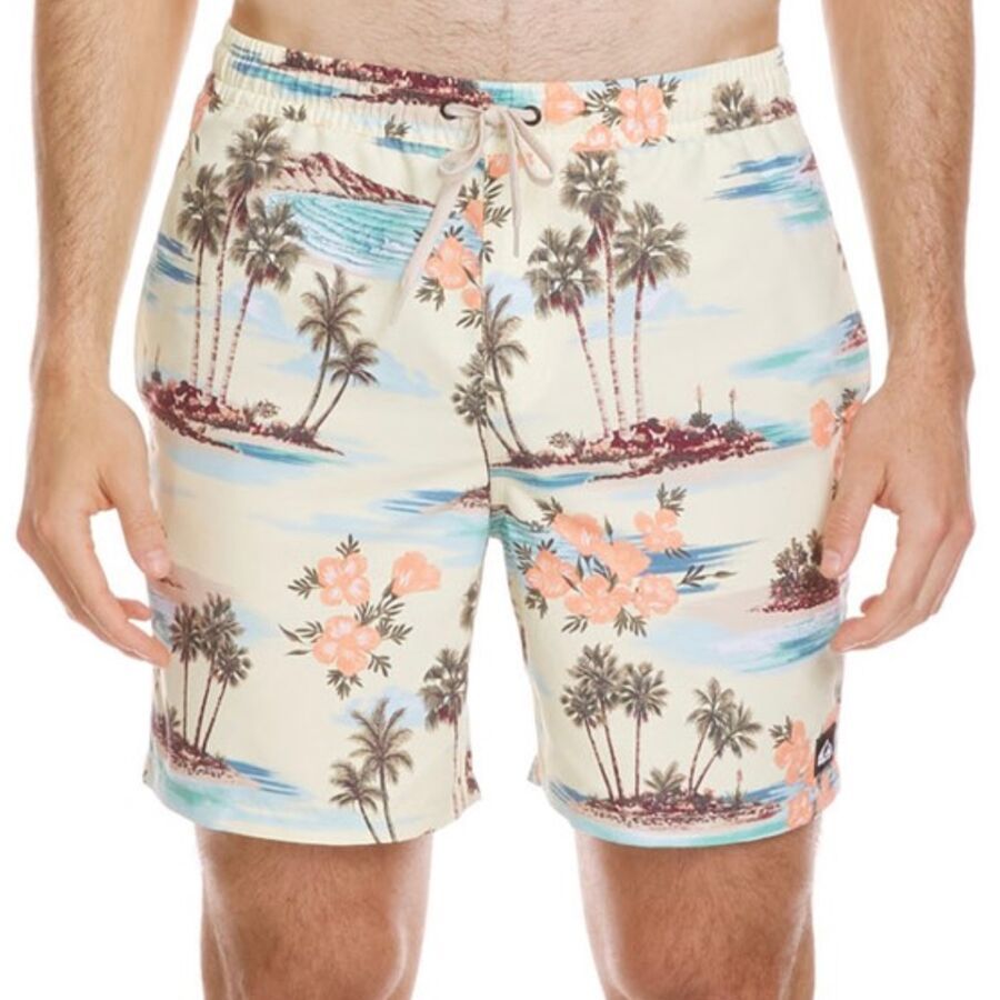 Шорты Quiksilver Everyday Mix Volley 17 NB Short Quiksilver, Silver Birch
Шорты Quiksilver Everyday Mix Volley 17 NB Short Quiksilver, Silver Birch