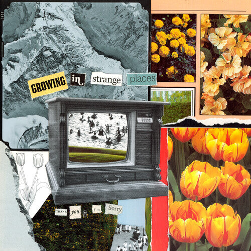 Виниловая пластинка Thank You, I'm Sorry: Growing In Strange Places - Orange Crush
Виниловая пластинка Thank You, I'm Sorry: Growing In Strange Places - Orange Crush