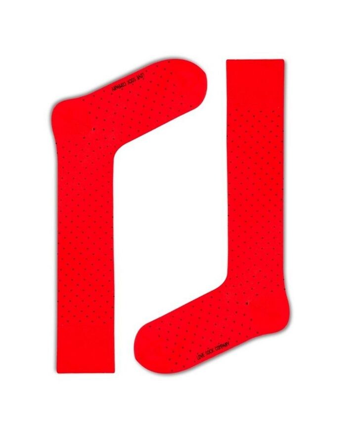 Мужские гольфы - Biz Dots Love Sock Company, красный
Мужские гольфы - Biz Dots Love Sock Company, красный