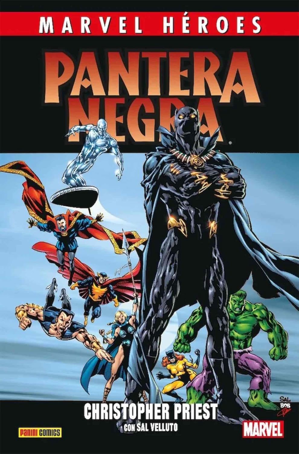 Marvel heroes 110 pantera negra 2 (PANINI ESPAÑA S.A.)
Marvel heroes 110 pantera negra 2 (PANINI ESPAÑA S.A.)
