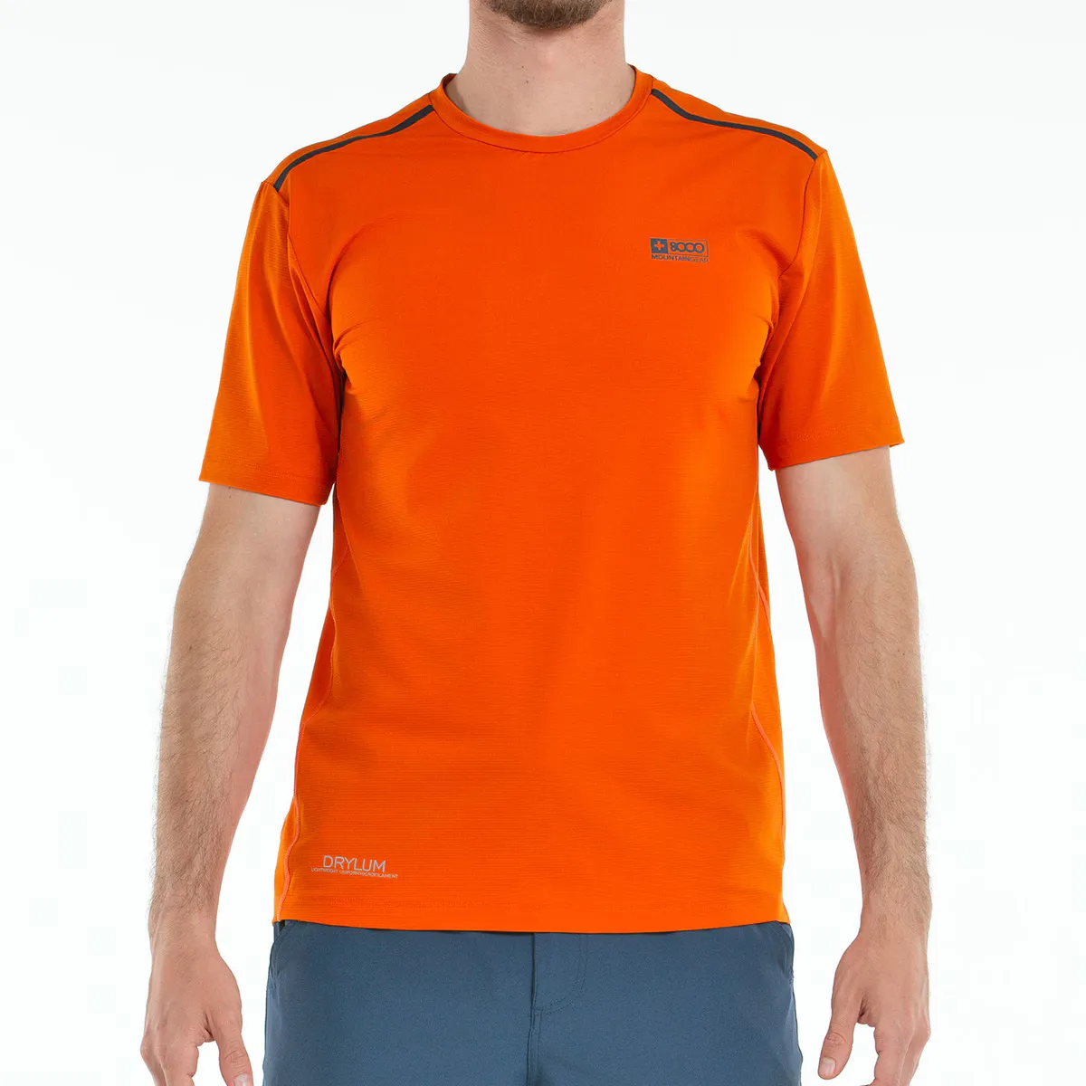 Мужская футболка с коротким рукавом Grandon +8000, цвет Calabaza
Мужская футболка с коротким рукавом Grandon +8000, цвет Calabaza