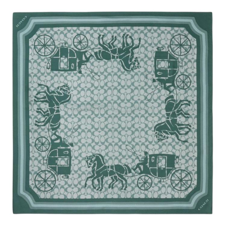 COACH Шелковый шарф Green, Green
COACH Шелковый шарф Green, Green