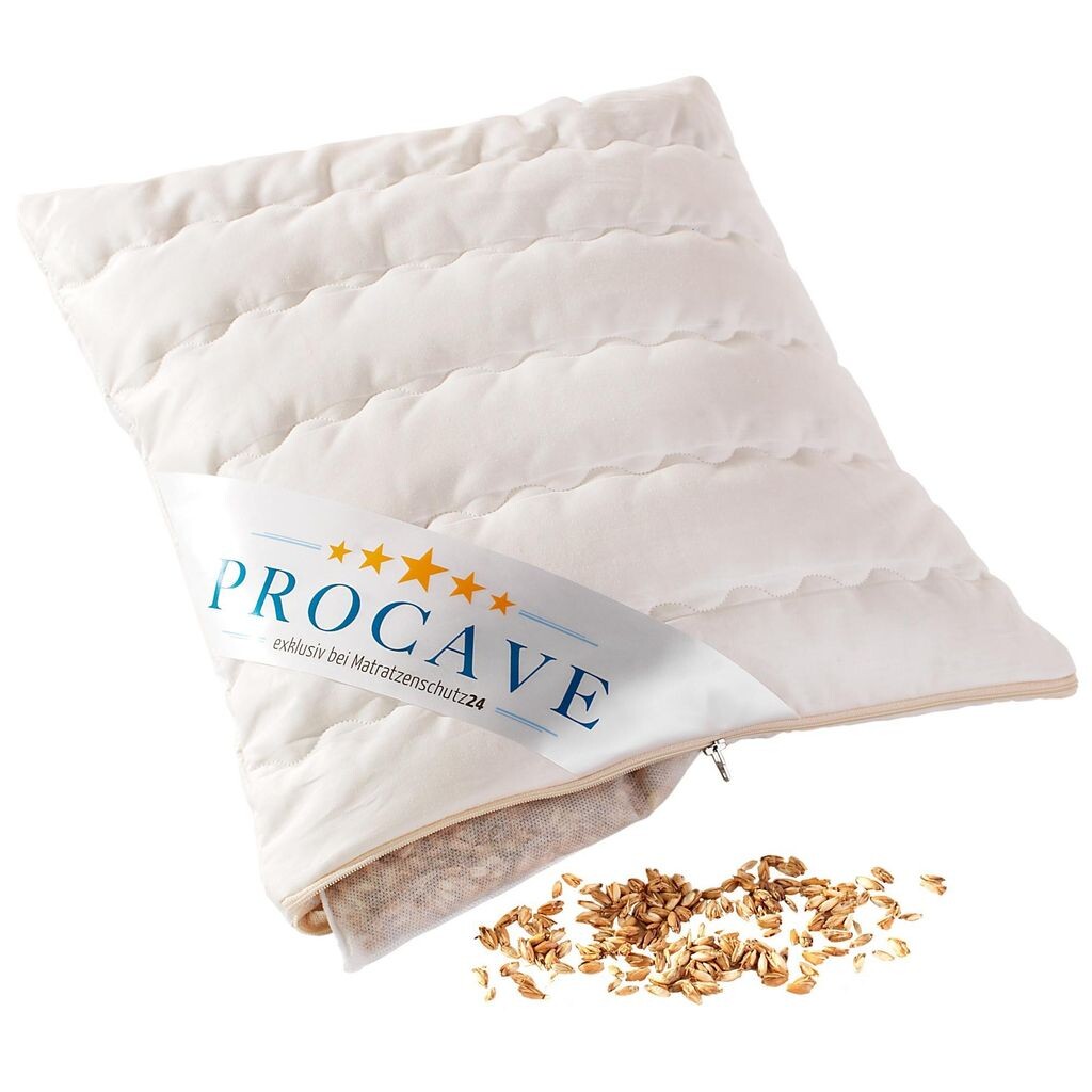 Подушка PROCAVE из спельты размером 40x40 см с моющимся хлопковым чехлом - Германия
Подушка PROCAVE из спельты размером 40x40 см с моющимся хлопковым чехлом - Германия