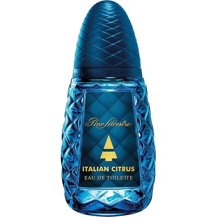 Итальянская туалетная вода "Цитрус" 125 мл, Pino Silvestre
Итальянская туалетная вода "Цитрус" 125 мл, Pino Silvestre