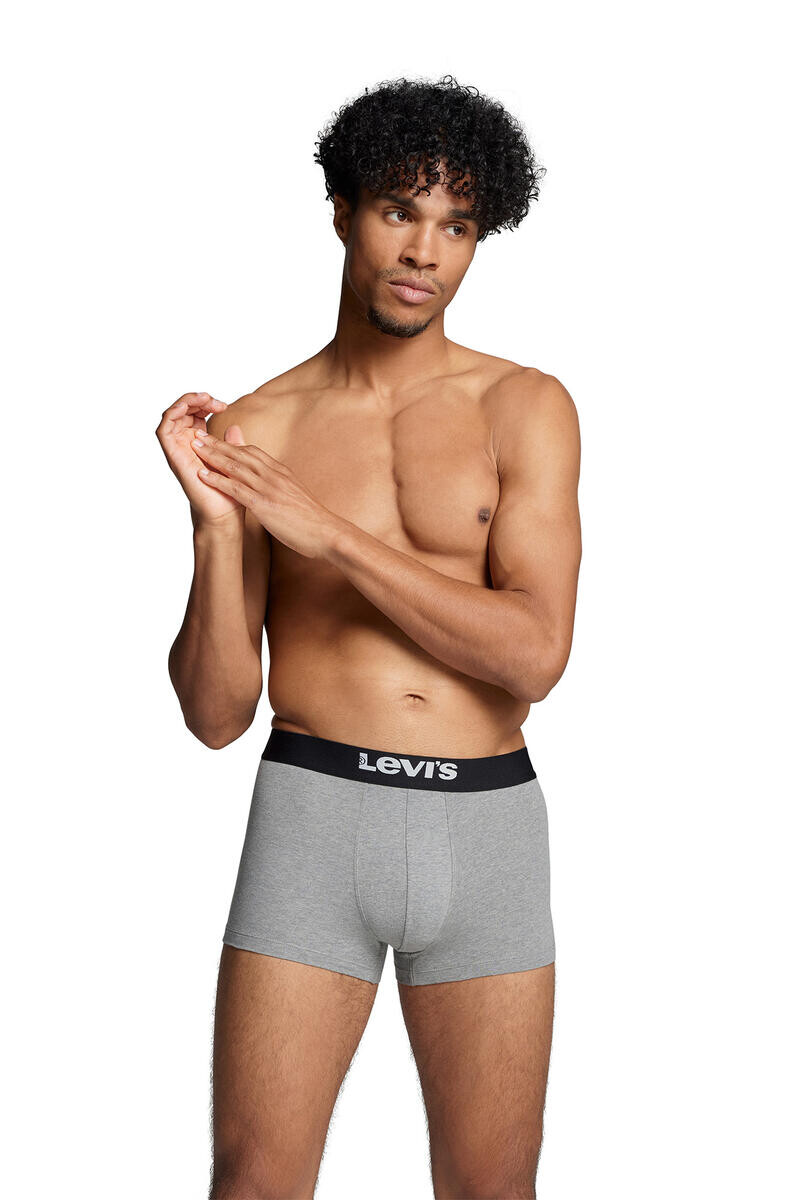 Комплект из двух боксеров Levi's. Levi's, серый
Комплект из двух боксеров Levi's. Levi's, серый