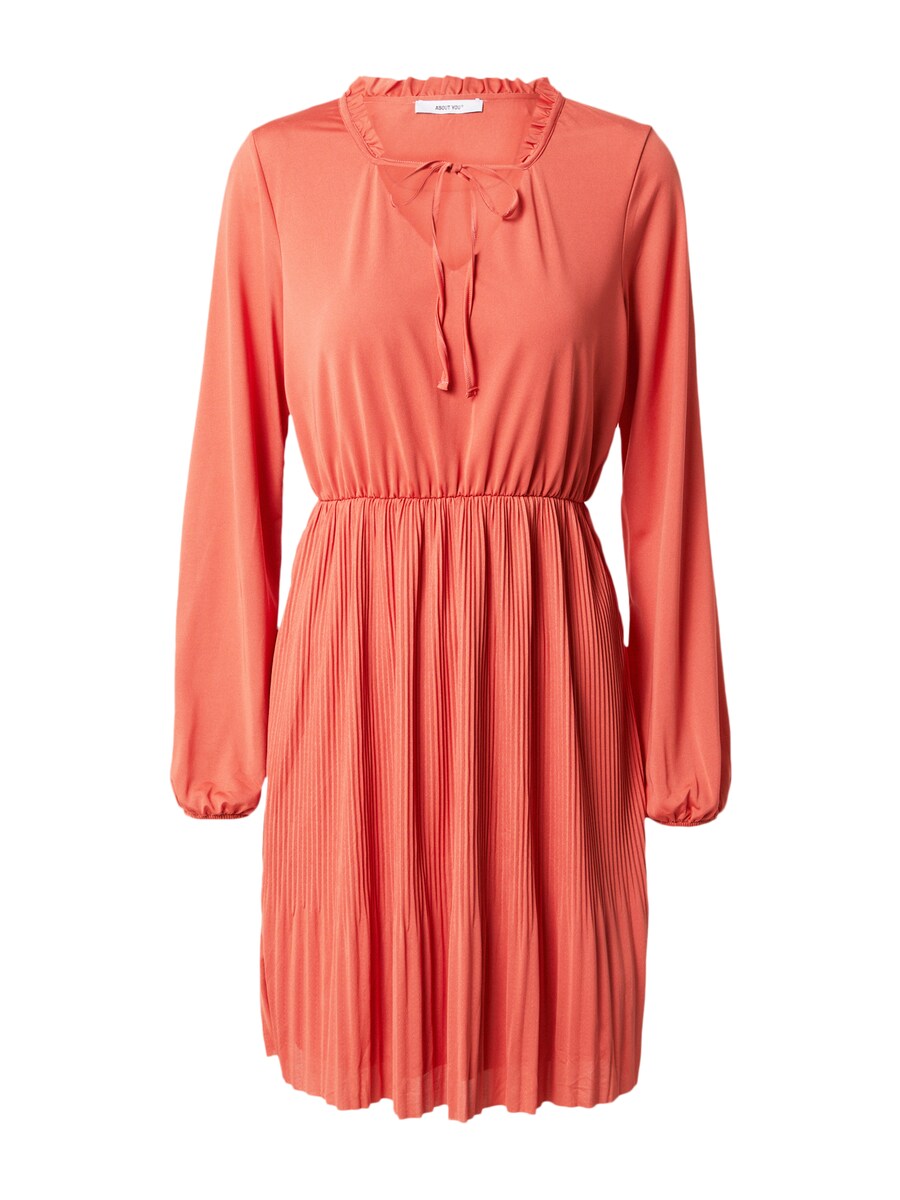 Платье ABOUT YOU Lotti, цвет Rusty red
Платье ABOUT YOU Lotti, цвет Rusty red