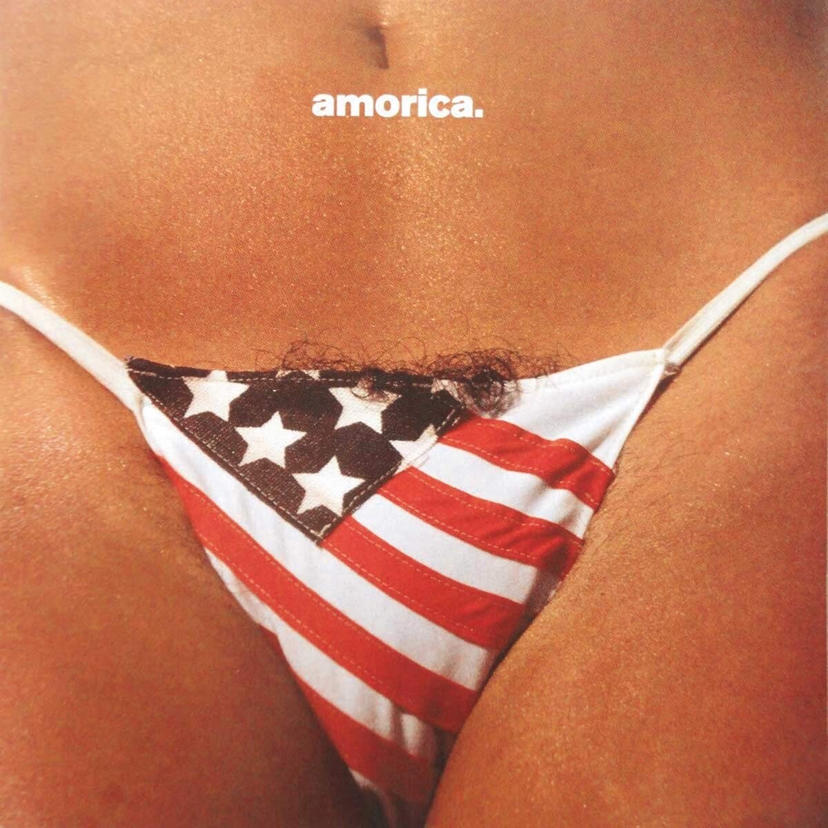 Виниловая пластинка The Black Crowes - Amorica. (2LP)
Виниловая пластинка The Black Crowes - Amorica. (2LP)
