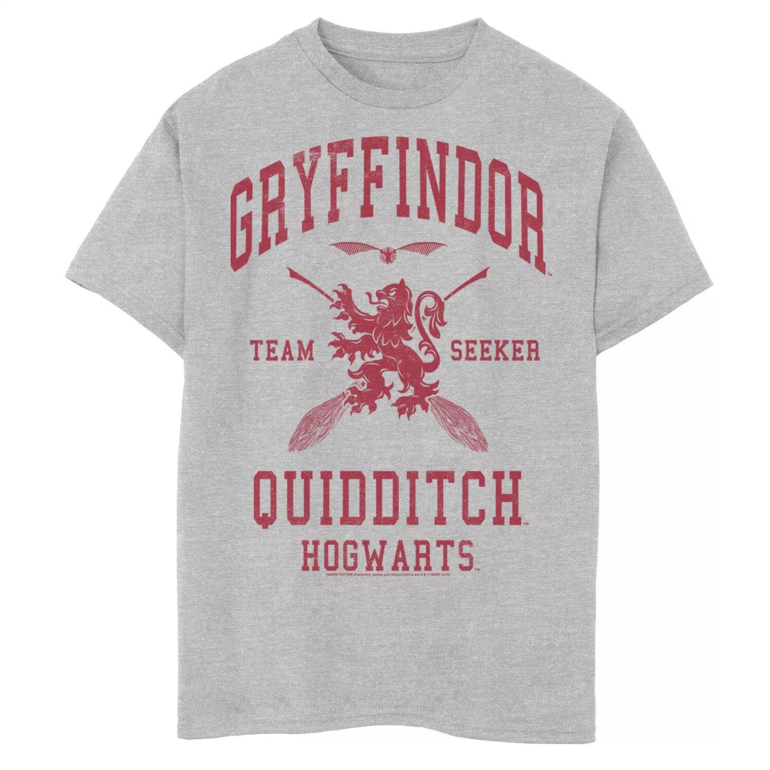 Футболка с рисунком «Гарри Поттер, Гриффиндор, Искатель квиддича» для мальчиков 8–20 лет Harry Potter
Футболка с рисунком «Гарри Поттер, Гриффиндор, Искатель квиддича» для мальчиков 8–20 лет Harry Potter