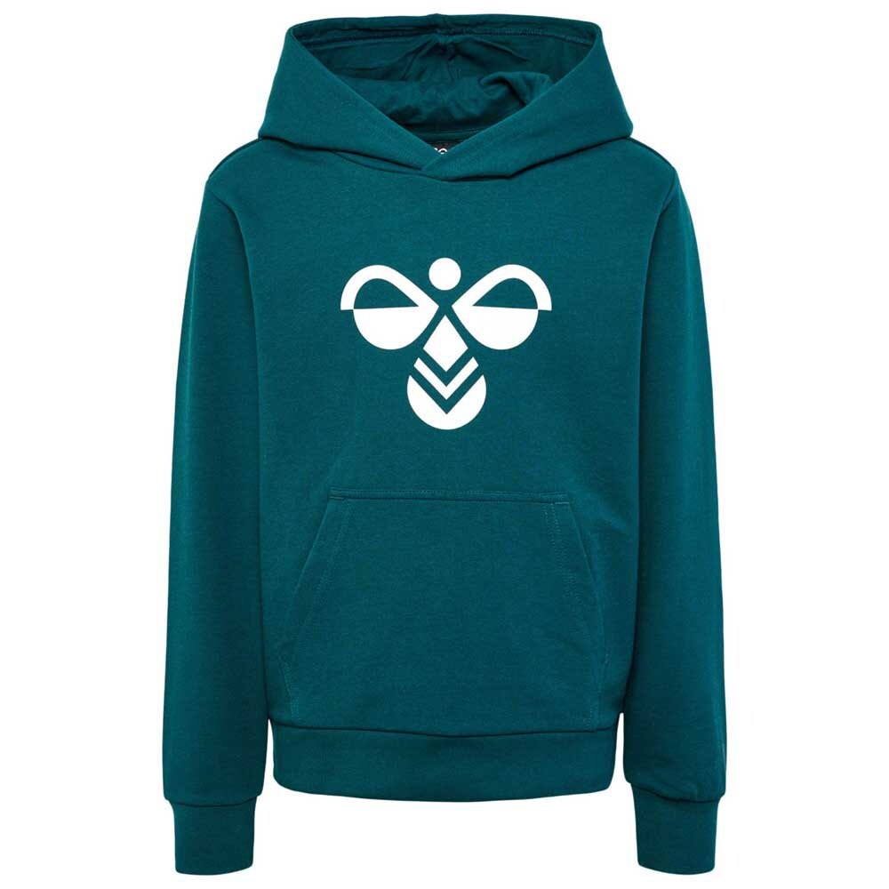 Худи Hummel Cuatro, зеленый
Худи Hummel Cuatro, зеленый