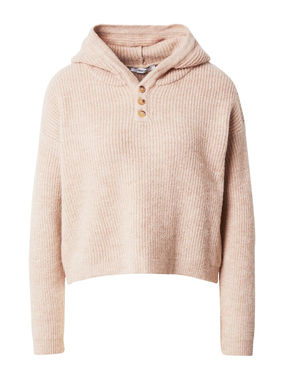 Свитер ABOUT YOU Christiane, светло-коричневый
Свитер ABOUT YOU Christiane, светло-коричневый