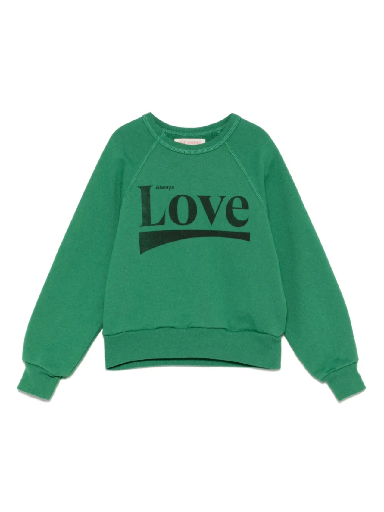 Толстовка «Обсерватория животных» с изображением акулы The Animals Observatory, зеленый
Толстовка «Обсерватория животных» с изображением акулы The Animals Observatory, зеленый