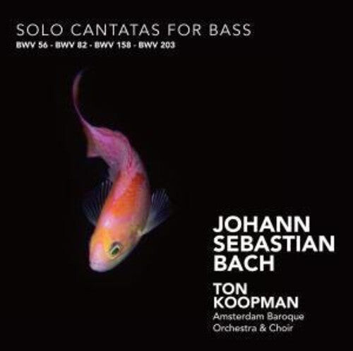 CD диск Bach, J.S. / Mertens / Koopman: Solo Cantatas for Bass
CD диск Bach, J.S. / Mertens / Koopman: Solo Cantatas for Bass
