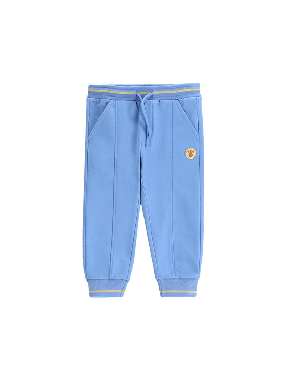 Спортивные брюки обычного кроя WC5120102MBN Coccodrillo, синий
Спортивные брюки обычного кроя WC5120102MBN Coccodrillo, синий